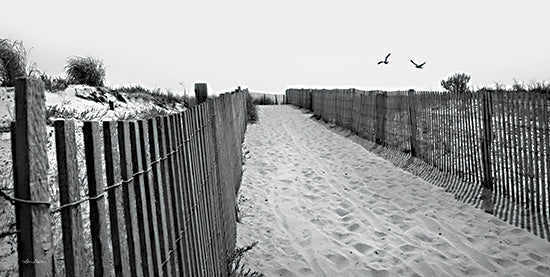 Lori Deiter LD3198 - LD3198 - Beach Path - 18x9 Beach Path, Beach, Coast, Coastal, Photography, Fence, Sand, Black & White, Landscape from Penny Lane