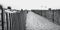 LD3198 - Beach Path - 18x9