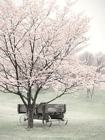 Lori Deiter LD3236 - LD3236 - Country Wagon - 12x16 Photography, Tree, Spring Tree, Blooms, Spring, Wagon, Farm, Landscape from Penny Lane