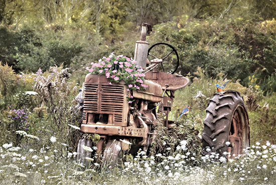 Lori Deiter LD3241 - LD3241 - Country Garden Tractor - 18x12 Photography, Still Life, Tractor, Farm, Vintage, Birds, Flowers, Wildflowers, Trees from Penny Lane