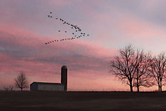 LD3243 - Spring Migration of Snow Geese - 18x12