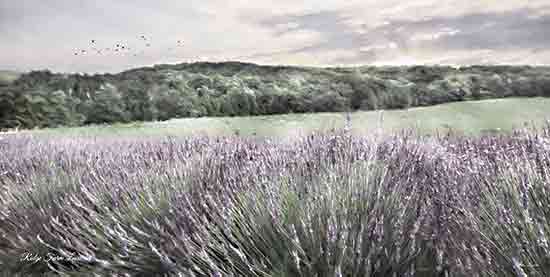 Lori Deiter LD3276 - LD3276 - Ridge Farm Lavender - 18x9 Photography, Landscape, Lavender, Herbs, Lavender Field, Landscape from Penny Lane