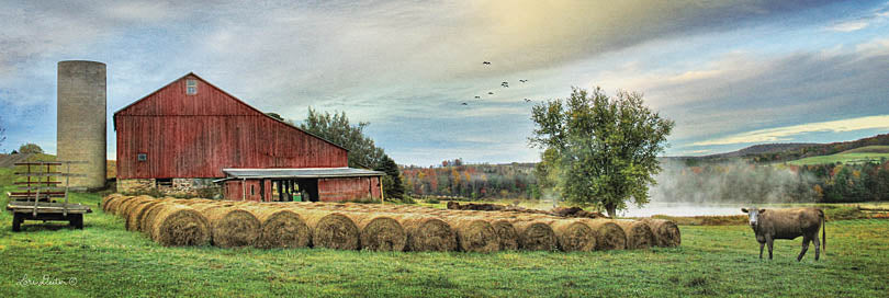 Lori Deiter LD327 - LD327 - Hay Harvest - 36x12 Barn, Farm, Haybales, Cow, Harvest, Fields, Trees from Penny Lane