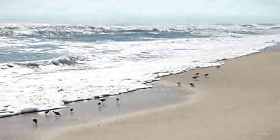 Lori Deiter LD3287 - LD3287 - Sandpipers - 18x9 Coastal, Ocean, Beach, Coast, Sand, Waves, Birds, Sandpipers, Landscape from Penny Lane