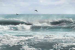 LD3288 - Sea Birds Among the Waves - 18x12