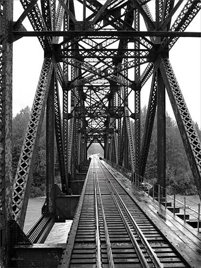 Lori Deiter LD3290 - LD3290 - The Alaskan Railroad - 12x16 Photography, Railroad Tracks, Alaskan Railroad, Black & White, Landscape from Penny Lane