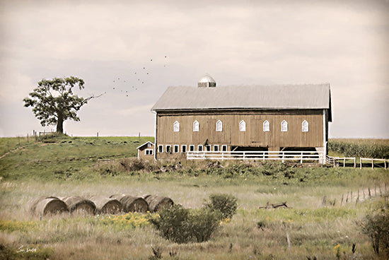 Lori Deiter LD3302 - LD3302 - Yesteryear on the Farm - 18x12 Photography, Barn, Farm, Vintage, Yesteryear on the Farm, Haybales, Tree, Landscape from Penny Lane