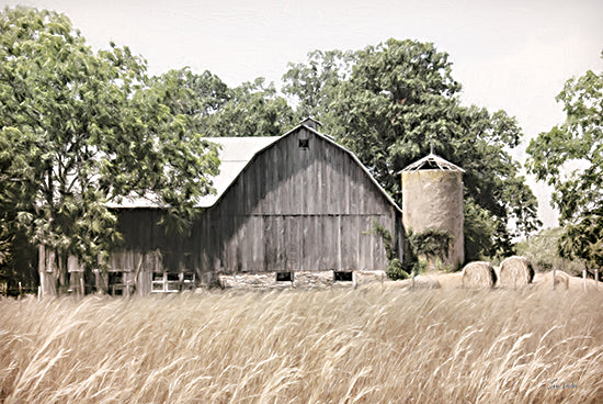 Lori Deiter LD3306 - LD3306 - Country Hayfield - 18x12 Photography, Barn, Farm, Wheat, Landscape, Field, Trees, Silo, Haybales from Penny Lane