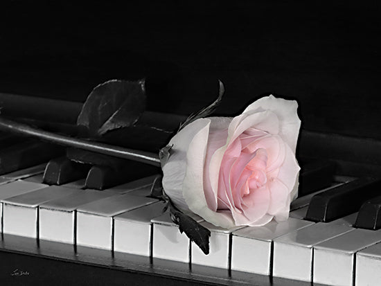 Lori Deiter LD3357 - LD3357 - Life is a Song - 16x12 Flower, Pink Flower, Rose, Piano, Piano Keys, Photography, Still Life from Penny Lane