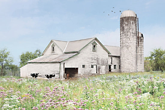 Lori Deiter LD3360 - LD3360 - Summer at the Dairy Farm - 18x12 Photography, Barn, Farm, Landscape, Cows, Dairy Farm, Pasture, Silo, Summer from Penny Lane