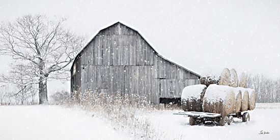 Lori Deiter LD3367 - LD3367 - The Winter Supply - 18x9 Winter, Barn, Farm, Gray Barn, Haybales, Trailor, Photography, Trees, Snow, Landscape from Penny Lane