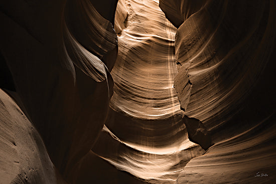 Lori Deiter LD3397 - LD3397 - Canyon Abstract VI - 18x12 Photography, Landscape, Canyon, Neutral Palette from Penny Lane