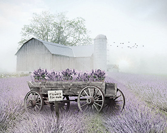Lori Deiter LD3401 - LD3401 - Lavender Wagon - 16x12 Photography, Lavender, Lavender Field, Farm, Barn, Wagon, Landscape, Flowers for Sale, Sign, Typography, Fog, Spring from Penny Lane