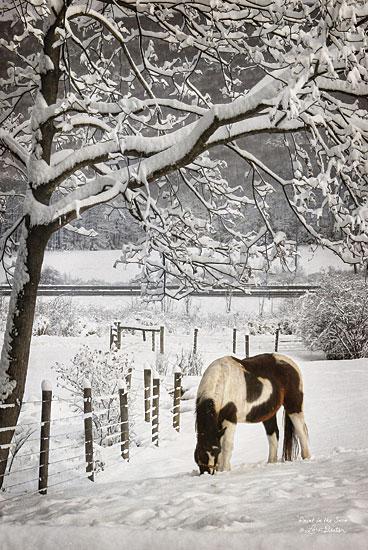Lori Deiter LD468 - Paint in the Snow - Horse, Snow, Pasture from Penny Lane Publishing