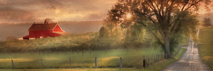 Lori Deiter LD538E - LD538E - Country Lane Sunset    - 36x12 Barn, Farm, Trees, Road, Sunset, Sun, Landscape, Photography from Penny Lane