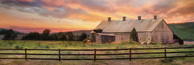 Lori Deiter LD542 - LD542 - Sunset in the Valley  - 36x12 Barn, Fence, Landscape, Farm, Sunset, Photography from Penny Lane