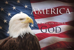 LD712 - One Nation Under God Flag - 18x12