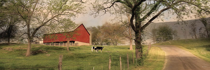 Lori Deiter LD726A - LD726A - Country Sunrise   - 36x12 Barn, Farm, Trees, Road, Cows, Landscape, Photography from Penny Lane