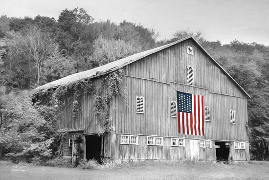 Lori Deiter LD775 - Patriotic Farm II - Patriotic, Barn, Black and White, Landscape from Penny Lane Publishing