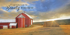 LD953 - The Beauty in Each New Day - 24x12