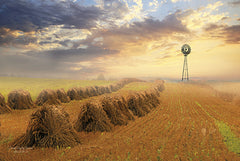 LD973 - Amish Country Sunrise - 18x12