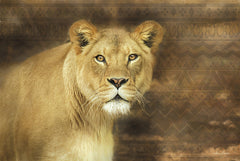 LD992 - Tribal Lioness - 18x12