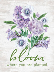 LET111 - Bloom Where You Are Planted - 12x16