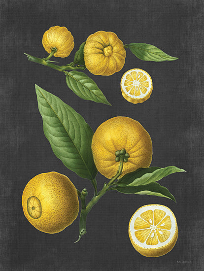 lettered & lined LET481 - LET481 - Lemon Citrus - 12x16 Lemons, Citrus, Lemons With Leaves, Kitchen, Black Background from Penny Lane