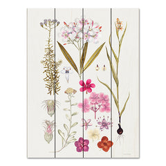 LET493PAL - Vintage Bloom Study - 12x16