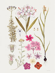 LET493 - Vintage Bloom Study - 12x16