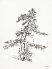 LET552 - Tree Illustration II - 12x16