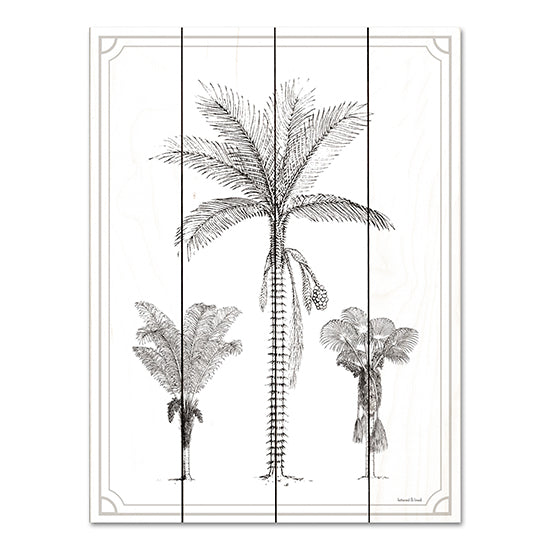 lettered & lined LET555PAL - LET555PAL - Palm Trio - 12x16 Palm Trees, Tropical, Coastal, Sketch from Penny Lane