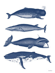 LET564 - Whales - 12x16