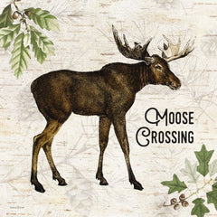 LET613LIC - Moose Crossing - 0