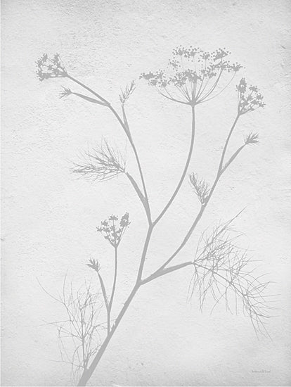 Lee Keller LET658 - LET658 - Retreat Botanical 4 - 12x16 Nature, Botanical, Wildflower, Silhouette, Neutral Palette from Penny Lane