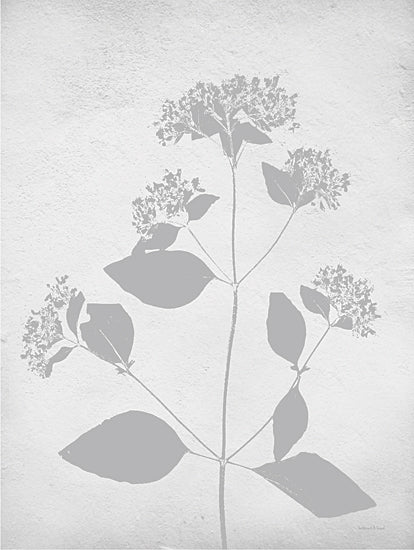 Lee Keller LET662 - LET662 - Retreat Botanical 8 - 12x16 Nature, Botanical, Wildflower, Silhouette, Neutral Palette from Penny Lane