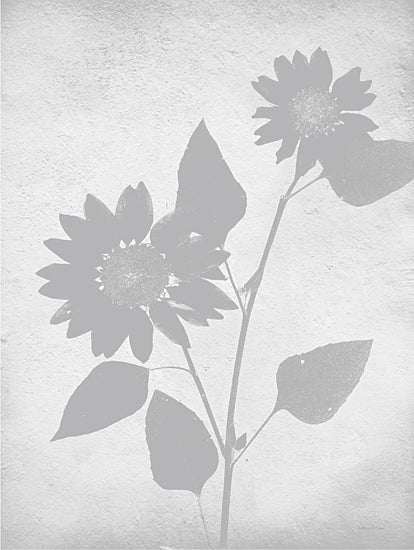 Lee Keller LET667 - LET667 - Retreat Botanical 13 - 12x16 Nature, Botanical, Wildflower, Silhouette, Neutral Palette from Penny Lane