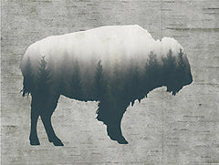 LET751LIC - Born in the Wild Bison - 0