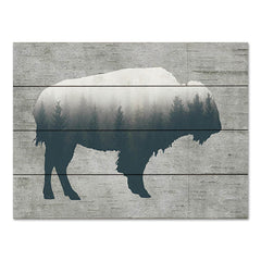 LET751PAL - Born in the Wild Bison - 16x12