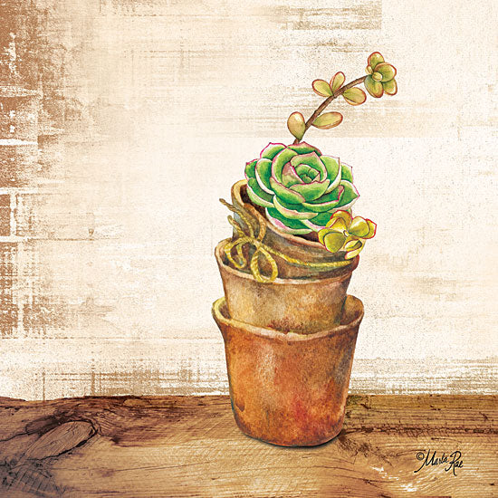 Marla Rae MAZ5267 - Succulents in a Pot from Penny Lane