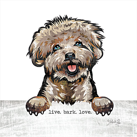 Marla Rae MAZ5638 - MAZ5638 - Live. Bark. Love.   - 12x12 Live, Love, Dog, Signs from Penny Lane