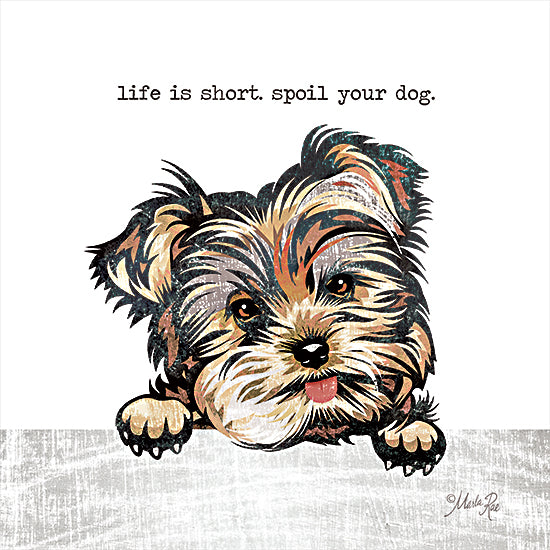 Marla Rae MAZ5640 - MAZ5640 - Spoil Your Dog    - 12x12 Life is Short, Spoil Your Dog, Dog, Yorkie, Signs from Penny Lane