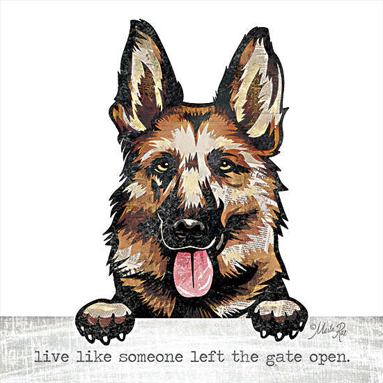 Marla Rae MAZ5642 - MAZ5642 - Live Like…      - 12x12 German Shepherd, Dog, Humorous, Signs from Penny Lane