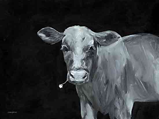 Mackenzie Kissell MKA166 - MKA166 - Chalkboard Cow - 12x16 Cow, Farm Animal, Portrait, Chalkboard Cow, Black & White from Penny Lane