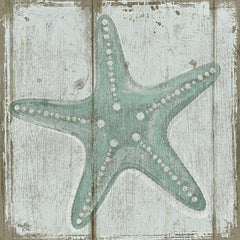 MOL1644 - Starfish - 12x12