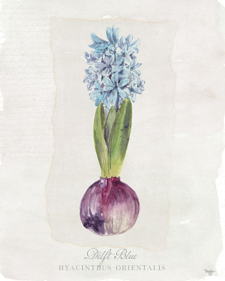 Mollie B. MOL2140 - MOL2140 - Hyacinthus Orientalis I - 12x16 Hyacinthus, Flowers, Bulbs, Blue Flowers from Penny Lane