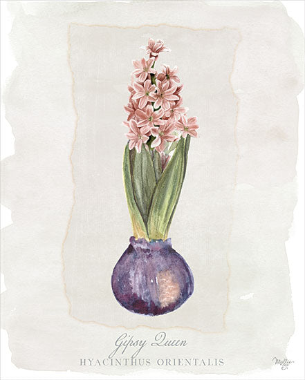 Mollie B. MOL2141 - MOL2141 - Hyacinthus Orientalis II - 12x16 Hyacinthus, Flowers, Bulbs, Pink Flowers from Penny Lane