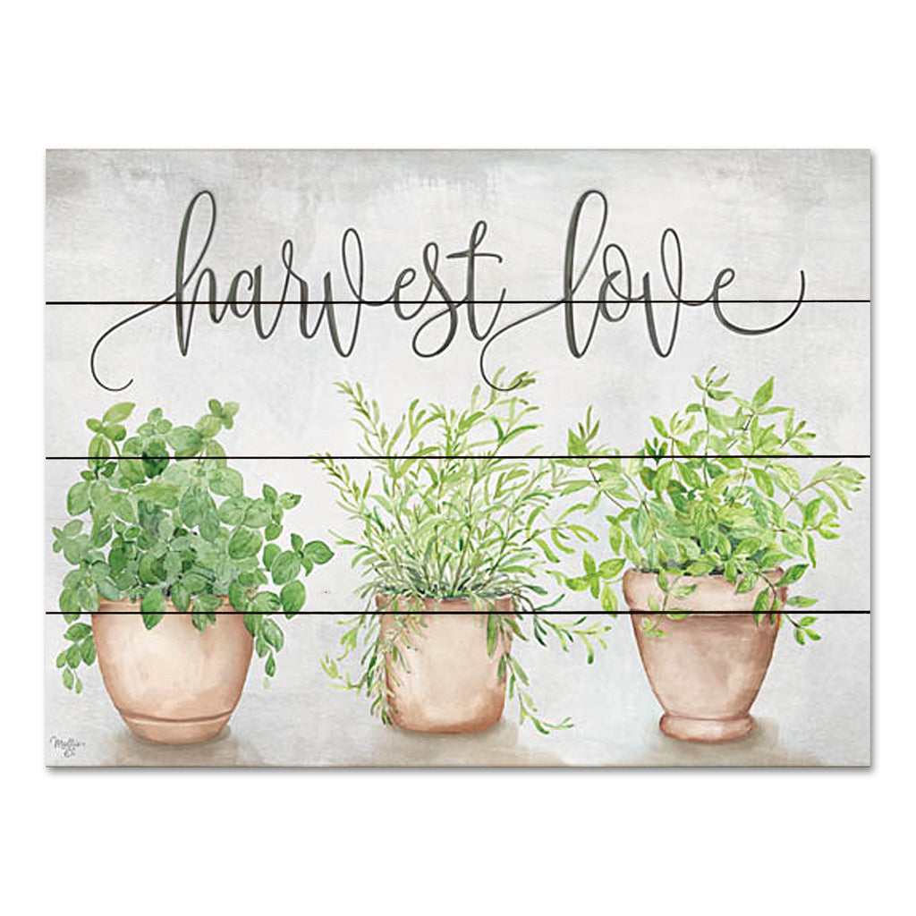 Mollie B. MOL2471PAL - MOL2471PAL - Harvest Love - 16x12 Still Life, Greenery, Terra Cotta Pots, Cottage/Country, Plants, Potted Plants, Harvest Love, Typography, Signs from Penny Lane