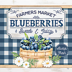 MOL2673 - Farmers Market Blueberries - 12x12
