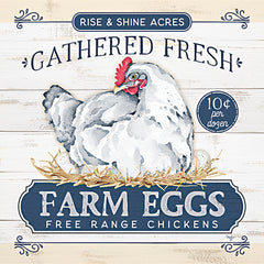 MOL2679 - Gathered Fresh Farm Eggs - 12x12